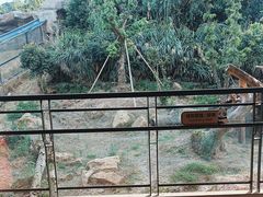 -宁波野生动物园