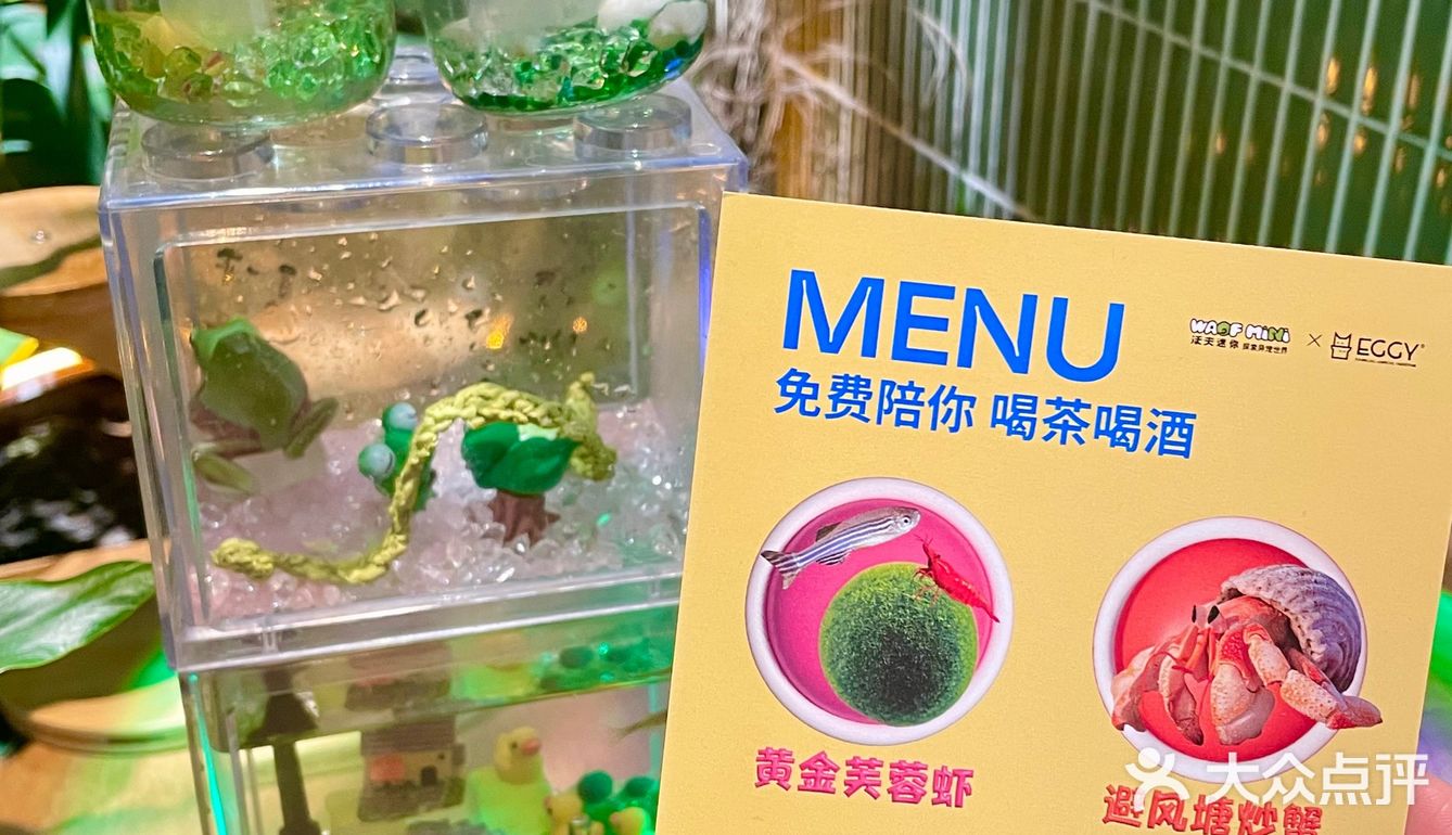 不愧是南门！超有氛围的异宠陪伴的围炉下午茶！