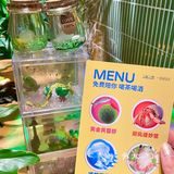 不愧是南门！超有氛围的异宠陪伴的围炉下午茶！