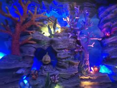 -青岛嘉年华主题乐园