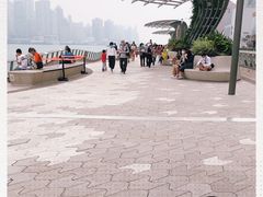 -星光大道