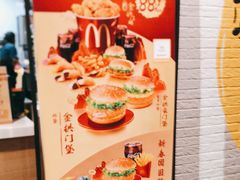 -麦当劳(保定裕华路店)