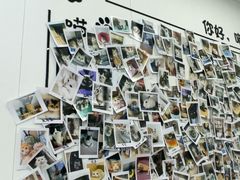 -瑞派·关忠动物医院·猫专科·犬专科(三环新城店)