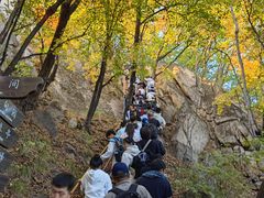 -吉林市朱雀山国家森林公园