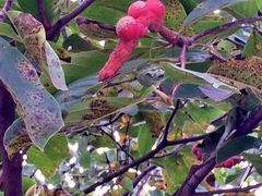 -祥源·阜阳生态乐园