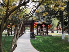 -东北大学(南湖校区)