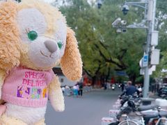 -北京国子监胡同