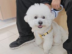 -美联众合动物医院·24h京西诊疗中心