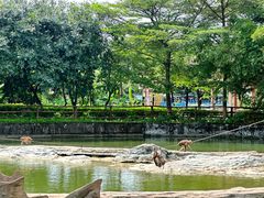 -东莞香市动物园