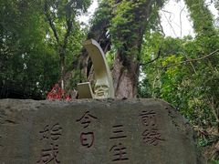 -七仙岭温泉国家森林公园