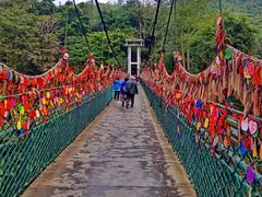 -西双版纳原始森林公园