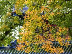 -灵谷景区