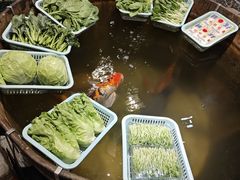 -石岐佬中山菜馆(张溪店)