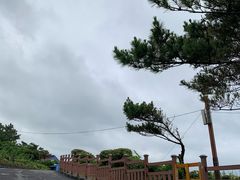 -龙头岩(Dragon Head Rock)