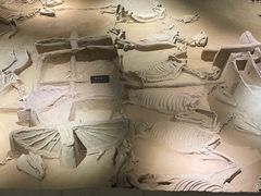 -洛阳周王城天子驾六博物馆