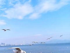 -深圳湾公园(南山区)