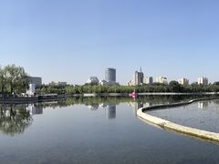 -莲花池公园