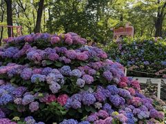 -沈阳植物园