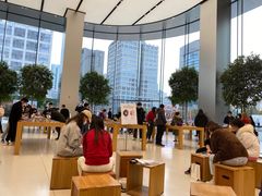 -Apple零售店(苏州店)