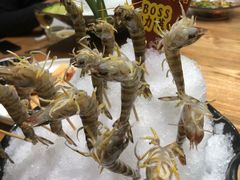 -尚海豆捞(乐虹坊店)