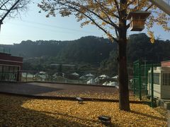 -重庆南山海昌汤都