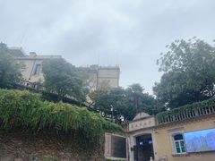 -上海佘山国家森林公园西佘山园