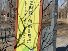 -东郊湿地公园
