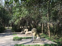 -紫金山索道-售票处