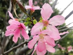 -文华公园(禅城区)