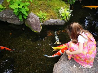 其实本来想周六来看花的，结果起来的时候，有点事