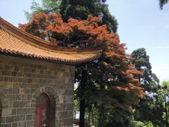 -莫干山风景区