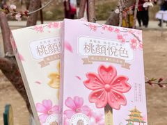 -桃花堤公园