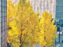 -星巴克(杭州大厦C座店)