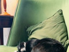 -旧天堂书店(华侨城创意文化园南山特色文化街区店)