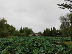-尚贤河湿地