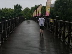 -自然谷恐龙园