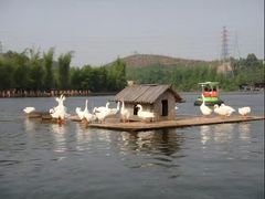 -观澜山水田园
