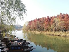 -溱湖国家湿地公园