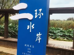 -前关湿地公园
