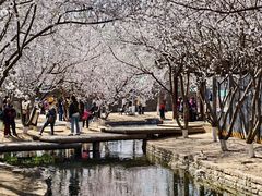 -三里河公园
