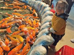 -泉州海丝野生动物世界