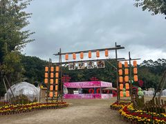 -揭东万竹园旅游景区