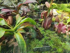 -国家植物园南园