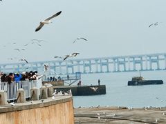 -星海广场