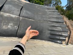 -三水森林公园