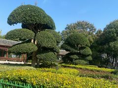 -金银湖国家城市湿地公园