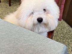 -龙井壹号·茶缘山景宴(龙井村店)