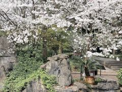 -南山植物园