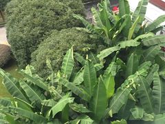 -杭州香格里拉饭店