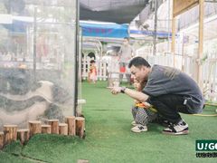 -全优加早教托育园(广百新一城店)